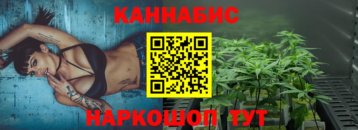 Бошки Шишки индика  Конопля планчик  Марихуана семена  Вход с VPN  Конопля MAZAR  Артём 